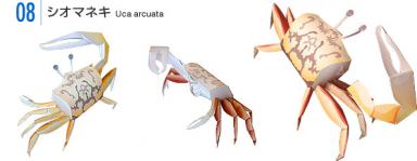 Konica Minolta Crab models